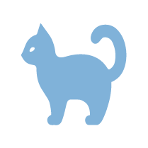 貓