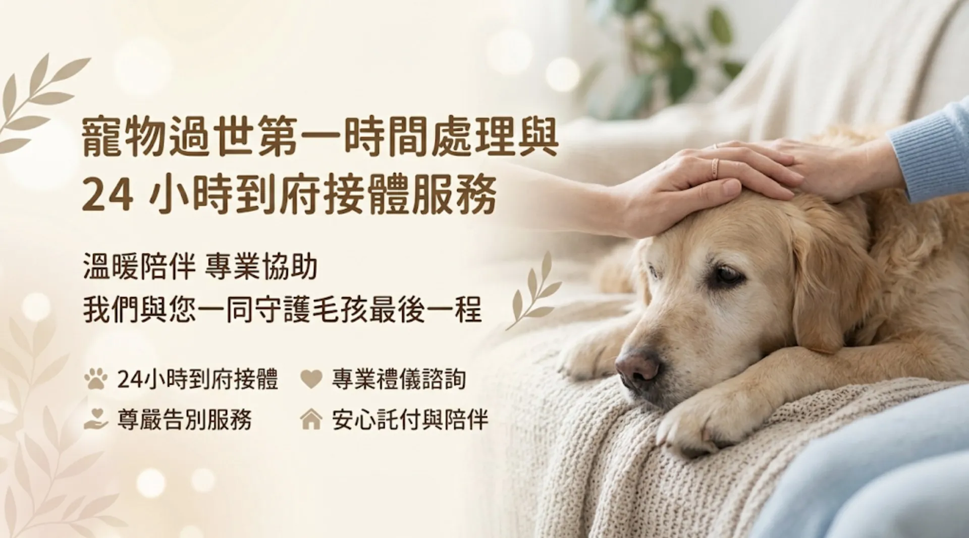 什麼是寵物溫柔水化？原理與傳統火化差異比較｜暮浴寵物禮儀