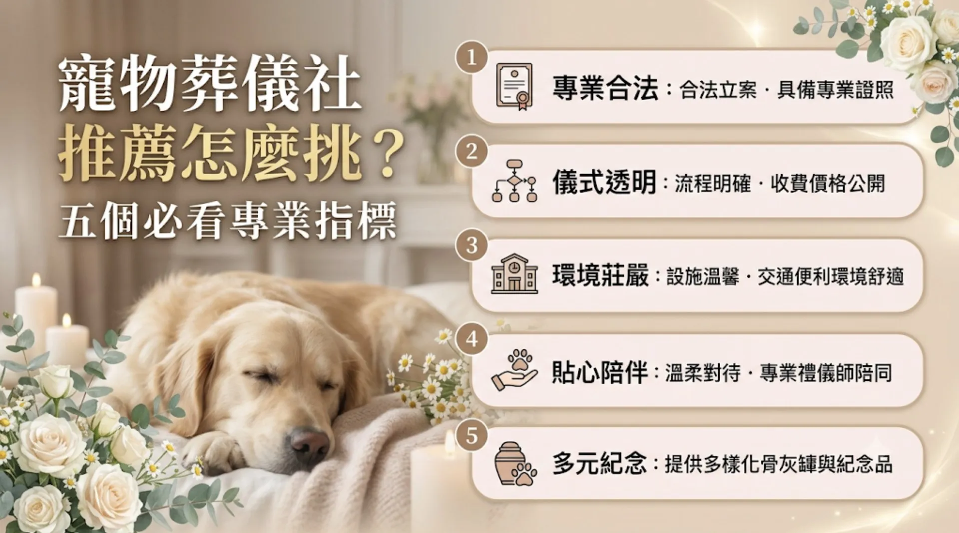 寵物葬儀社推薦怎麼挑？五個必看專業指標｜暮浴寵物禮儀