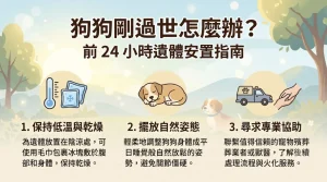 狗狗剛過世怎麼辦？前 24 小時遺體安置指南｜暮浴寵物禮儀