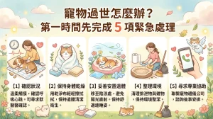 寵物過世怎麼辦？第一時間先完成 5 項緊急處理｜暮浴寵物禮儀