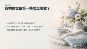 寵物過世後第一時間怎麼做？等待接體的安置與聯絡準備｜暮浴寵物禮儀