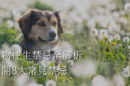 Z3M6Ly9pbWcubWVlcGNsb3VkLmNvbS9tZWVwc2hvcC9hOGYzZTY0OS01NzY3LTRkMTUtOTJkNS00MjcwMDA5N2U2ZDQvZmlsZXMvMDEzOTVkZjMtZTU3MS00YmNiLWEyM2UtNzc2NmVjMTdiODc3LmpwZw