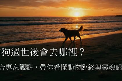 Z3M6Ly9pbWcubWVlcGNsb3VkLmNvbS9tZWVwc2hvcC9hOGYzZTY0OS01NzY3LTRkMTUtOTJkNS00MjcwMDA5N2U2ZDQvZmlsZXMvMjhhYjY1OWQtNTA5Yy00NjMyLTk4NDktNWUwMjJkMWYxZTQzLmpwZw