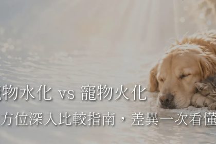 Z3M6Ly9pbWcubWVlcGNsb3VkLmNvbS9tZWVwc2hvcC9hOGYzZTY0OS01NzY3LTRkMTUtOTJkNS00MjcwMDA5N2U2ZDQvZmlsZXMvNzkyOTc4MTItNTM4MC00NWVlLWFmNjktNjM0ZjE5YzliNWRhLmpwZw