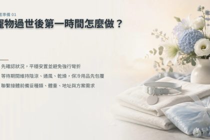 寵物過世後第一時間怎麼做？等待接體的安置與聯絡準備｜暮浴寵物禮儀