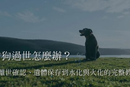 當愛犬的心跳停止，突如其來的悲傷往往讓人手足無措，為了讓寶貝體面且有尊嚴地離開，正確的初步應變與降溫防護至關重要。